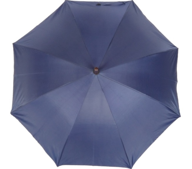 BR-ST-28 Transparent Umbrella